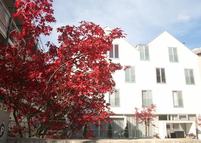 Goedkoop hotel: Hotel Engl